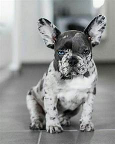 Lilac Marble